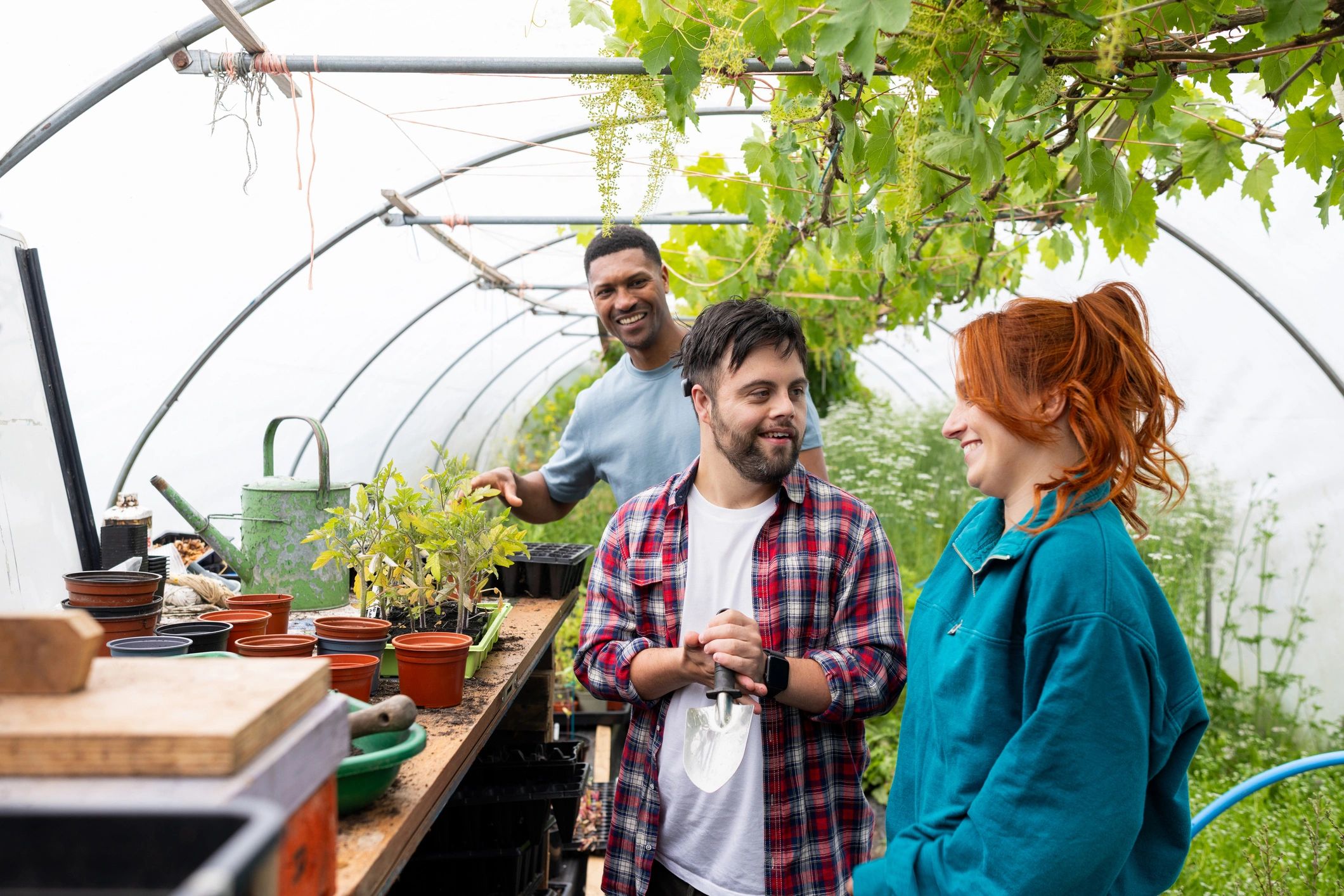 Agricultural team working together in a greenhouse